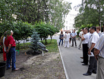 Дерево в честь профессора А.П. Яненко