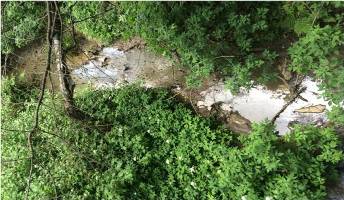 НГАСУ (Сибстрин) и компания «Трансервис» объявляют конкурс идей по парку культуры и отдыха «Заельцовский бор»