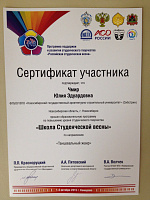 Школа Студенческой весны