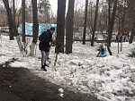 Час Земли