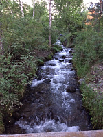 Выездная практика на Алтае