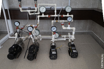 _MG_1246.jpg