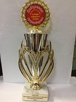 Сибирская круговерть