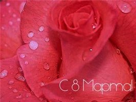 Поздравление женщин с Днем 8 марта