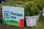 Посади лес
