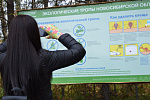 Итоги регионального экологического проекта «Шагаем вместе» 