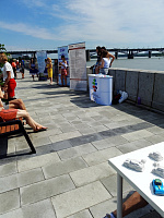 Единый выпускной новосибирских школьников 