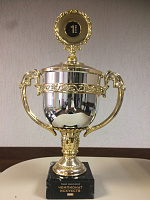 Всероссийский чемпионат искусств