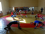 Соревнования по греко-римской борьбе