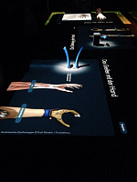 13-я Международная молодежная экологическая встреча в Берлине