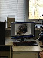 ВерхнеОбьрегионводхоз