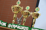 Экокубок
