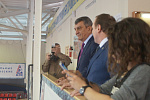 С.И. Меняйло