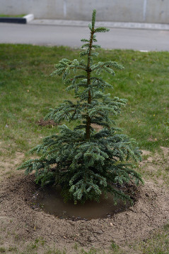 DSC_0605.jpg