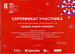 Я – профессионал
