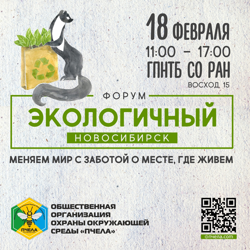 678657-800.jpg